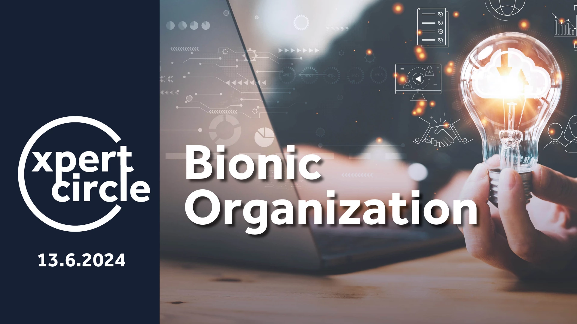 Bionic Organizations